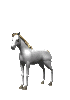 rearCLR.gif (14004 bytes)